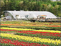 花の都公園